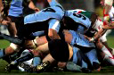 REGARDS DU SPORT - VANDYSTADT Photos Rugby Glasgow Warriors