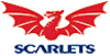 Logo Scarlets rugby sur REGARDS DU SPORT - VANDYSTADT
